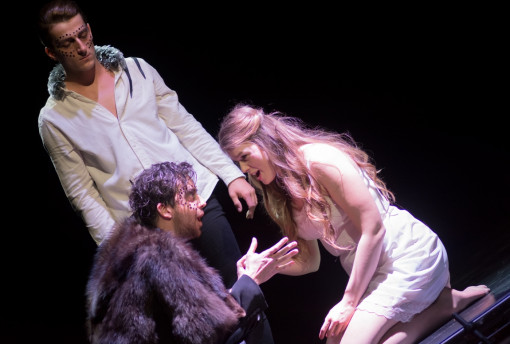 Operavizsga 2017 január