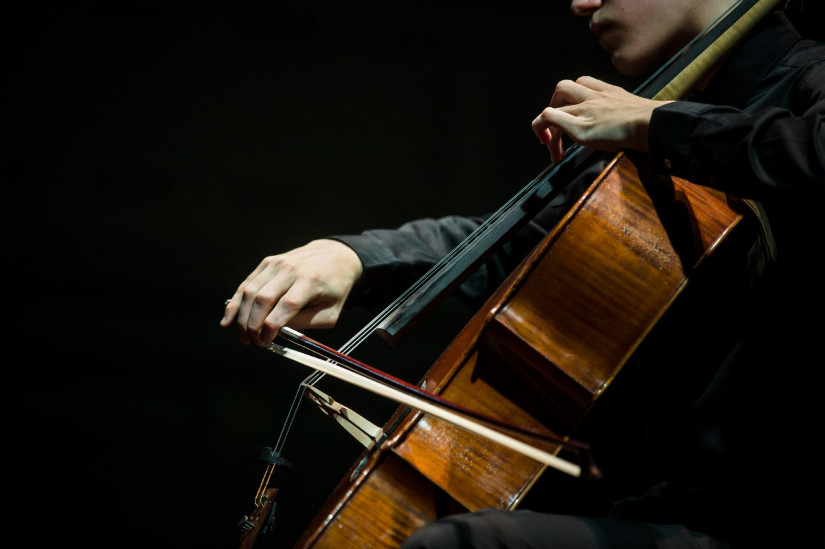 Péter Váray Cello DLA Concert