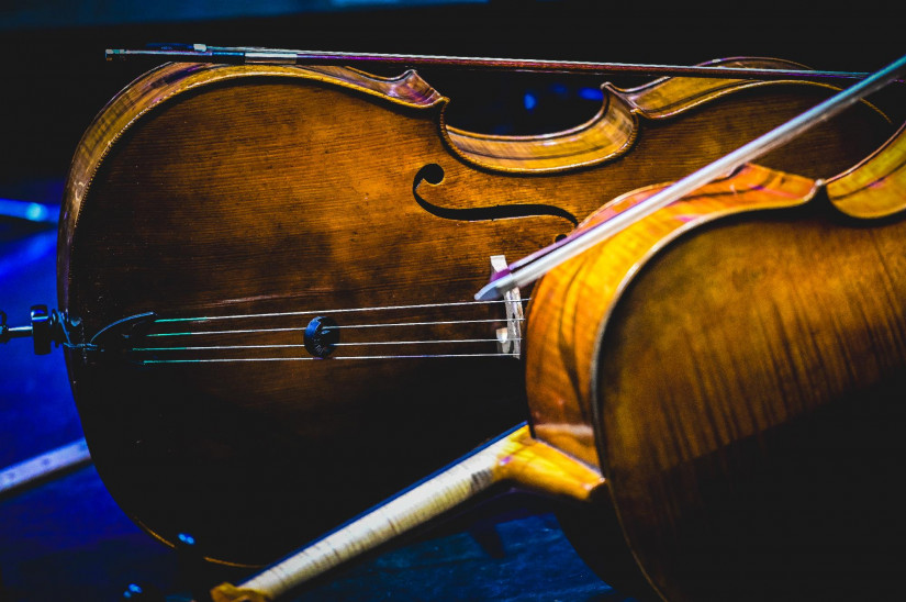 International Cello Competition Budapest - Semi-final